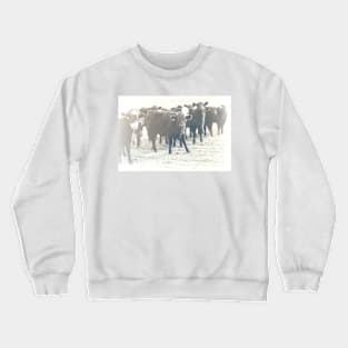 Cows In A Row textured photograph Crewneck Sweatshirt